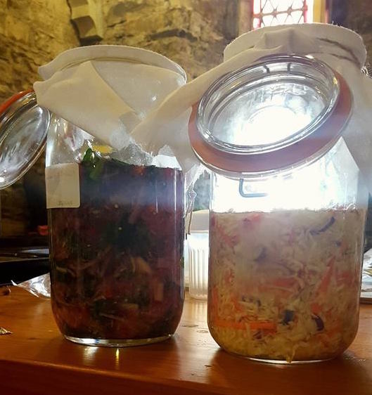 FERMENTATION EXPERIMENTS- MEADS, METHEGLINS AND KIMCHI OR  LACTO-FERMENTED VEGETABLES